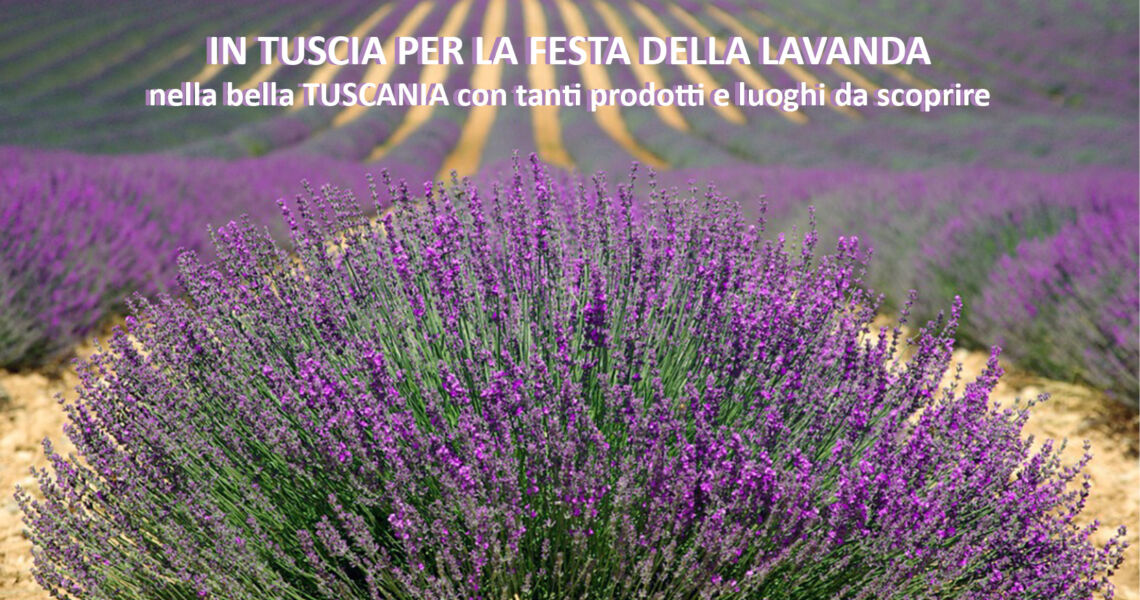 Tuscia la Festa della Lavanda e la bella Tuscania