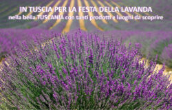 Tuscia la Festa della Lavanda e la bella Tuscania