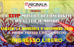 Mirabilia mostra di Conchiglie da tutto il mondo 7 e 8 novembre 2026 a PRATO Ingresso Libero.