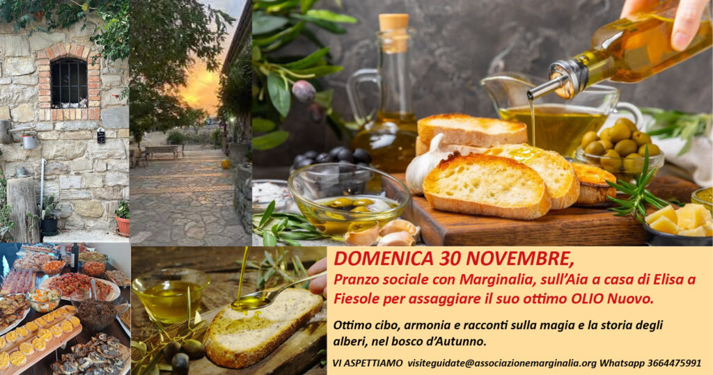 Pranzo sull'aia con Marginalia,, a Fiesole a casa di Elisa, per l' assaggio dell'Olio Nuovo.