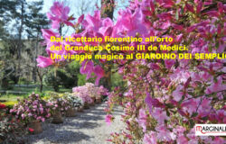 Dal ricettario fiorentino all’orto del Granduca Cosimo III de Medici. Un viaggio magico al GIARDINO DEI SEMPLICI